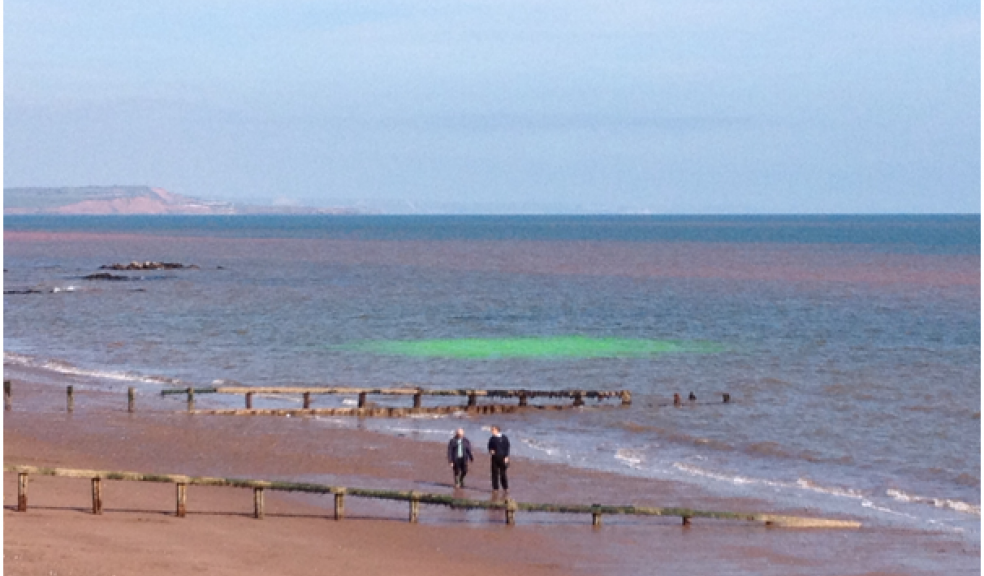 The green dye makes its way into the waters off Teignmouth Beach