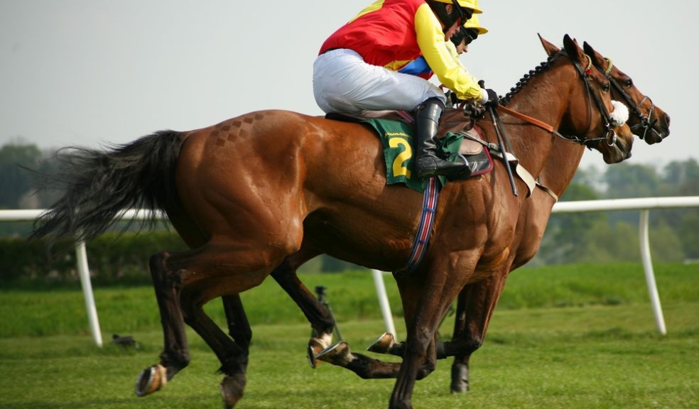 Super Sunday At Exeter Racecourse The Exeter Daily