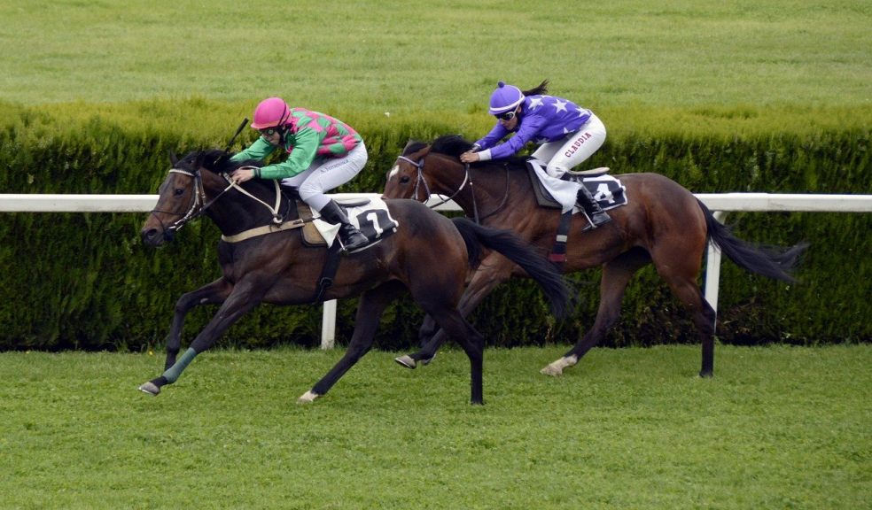 Horse Race History How Secretariat Dominated The Horse Racing Industry The Exeter Daily