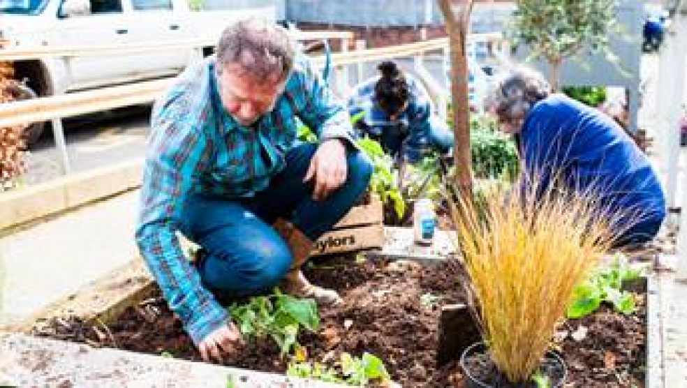 Toby Buckland’s garden tribute The Exeter Daily