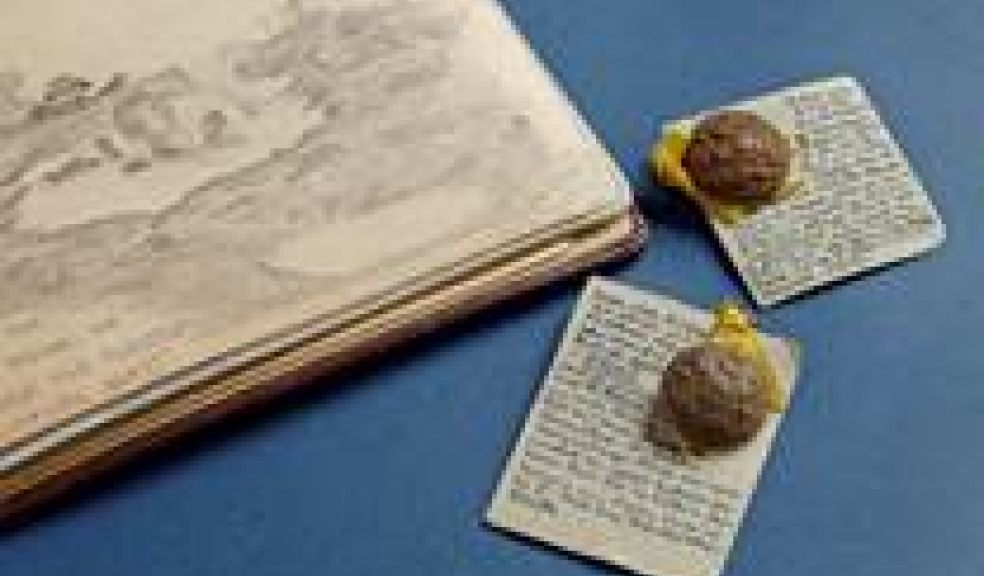Cartoon and military buttons from soldiers in Exeter’s military hospitals (RAMM)