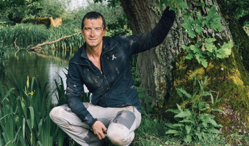 Bear Grylls 