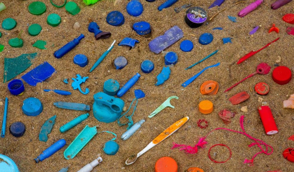 Litter