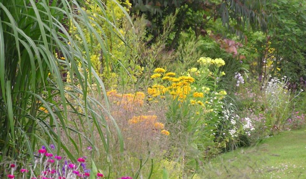 Long border at Little Ash
