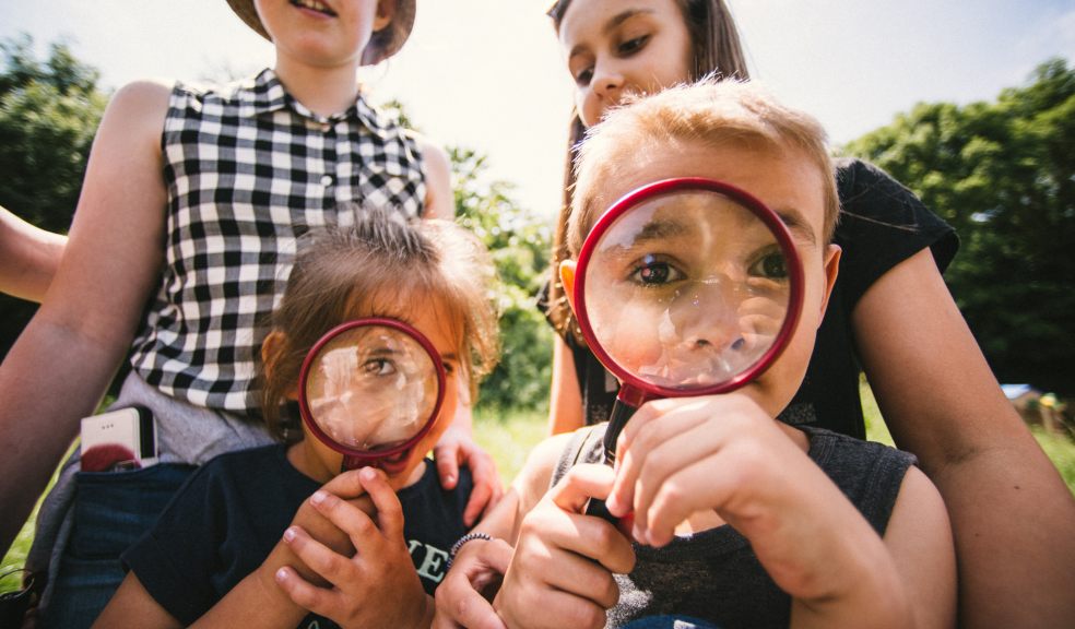 Children search through grasses for creepy crawlies at Mincinglake Valley Park.