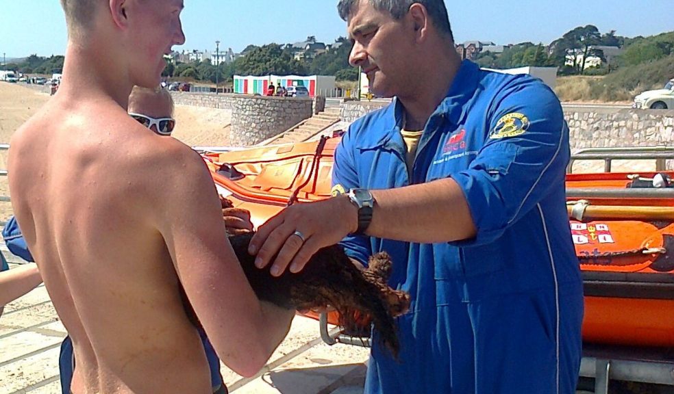 Missy is examined by a coastguard after the RNLI crew volunteers returned to the lifeboat station.