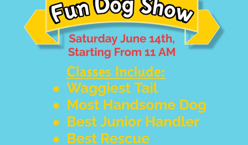 Cadogan Court Fun Dog Show