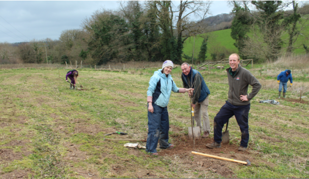 Roots and branches: Volunteers (l-r) Peter Daniel, Alison Willan and Julie Johnson were among those who joined EDDC’s Alex Gibson and Nathan Robinson planting fruit trees in the Honiton Bottom nature reserve over several hours on Thursday