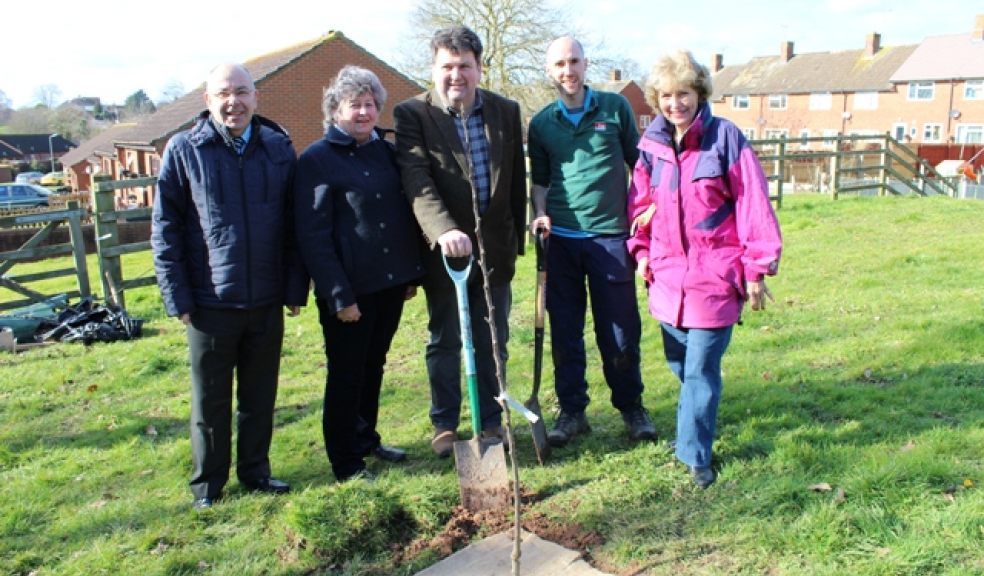 Planting one of the trees, district councillors Iain Chubb and Pauline Stott (second and third from left) with (far right) town council ward member for Littleham Alison Greenhalgh. Also pictured (far left) is John Golding, EDDC Strategic Lead for Housing and Environment, and (second from right) Tim Dafforn, Countryside team leader.