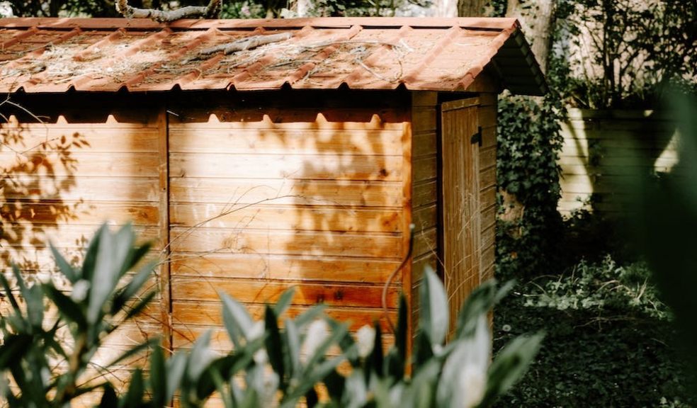 garden shed surrounded by shrubs