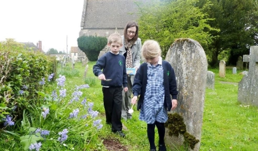 Planting poppy seeds in the churchyard