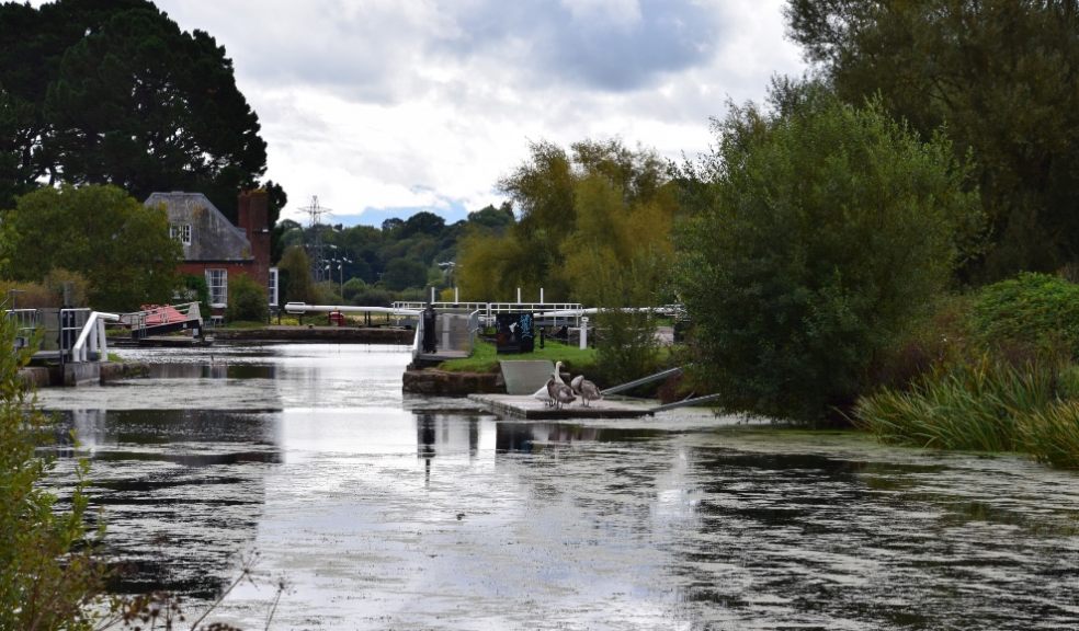 Amazing wild swimming spots in the Exeter area