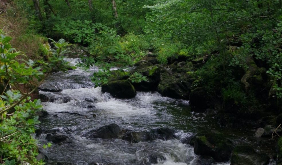 River Lyn