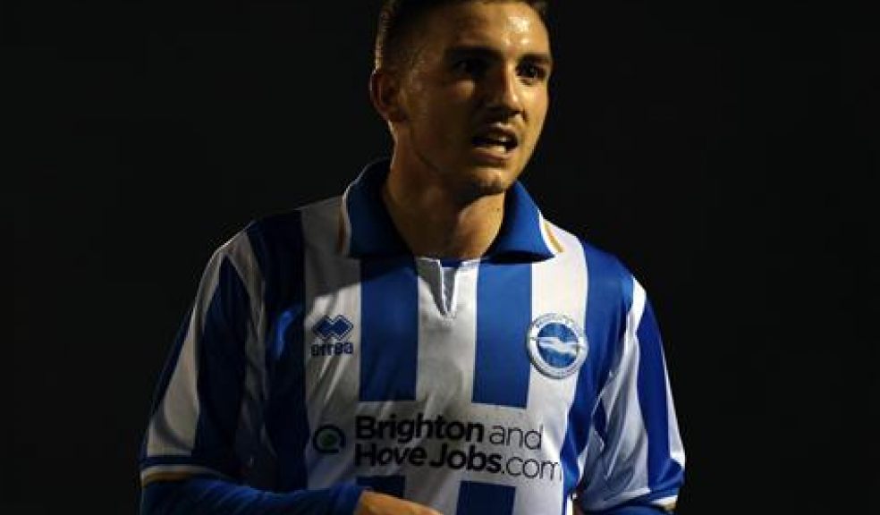 Photo courtesy of Brighton and Hove Albion