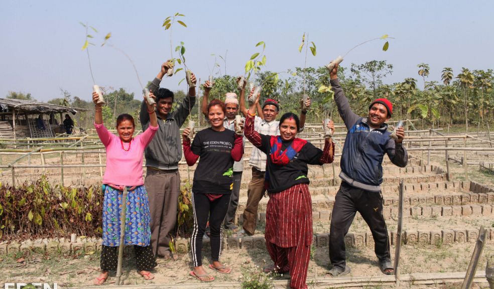 ‘The Billion Trees Project’ helps rebuild sustainable communities ‘The Billion Trees Project’ helps rebuild sustainable communities