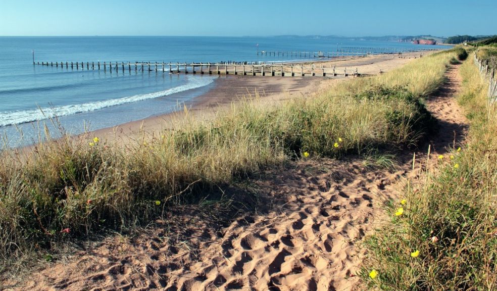 Sandy beach in Devon