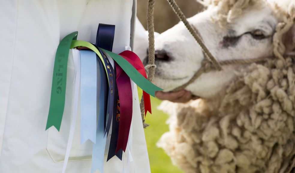 Photo: Devon County Show