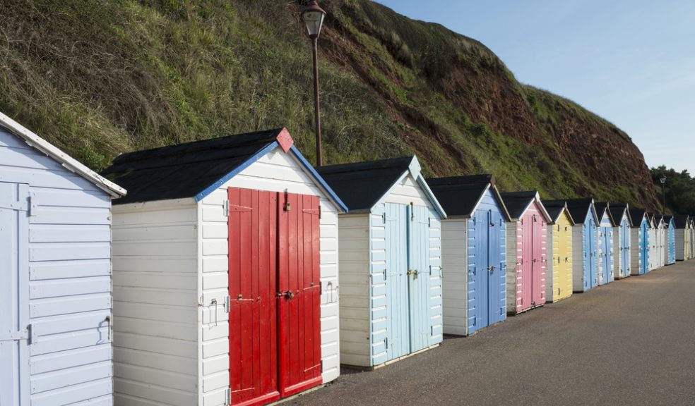 Summer successes help to boost Seaton Regeneration