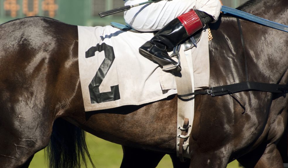 New Year S Day Racing The Exeter Daily