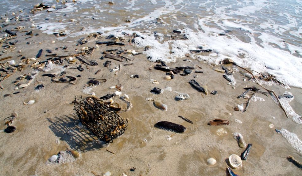 Marine litter at coastal areas