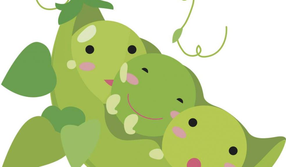 Storytime and Creativity for Under 8's