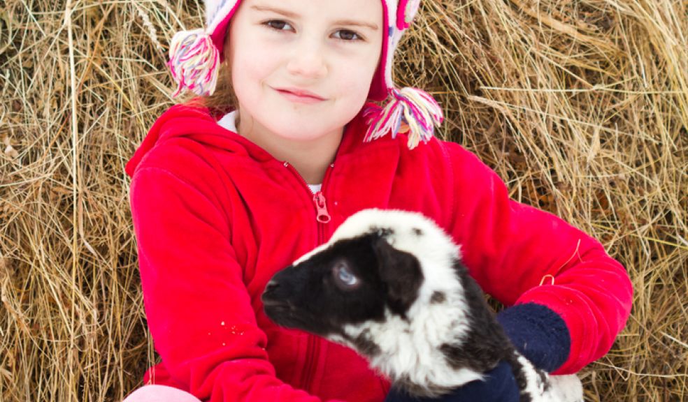 Devon school children discover the best of local farm produce at Farm Wise Devon