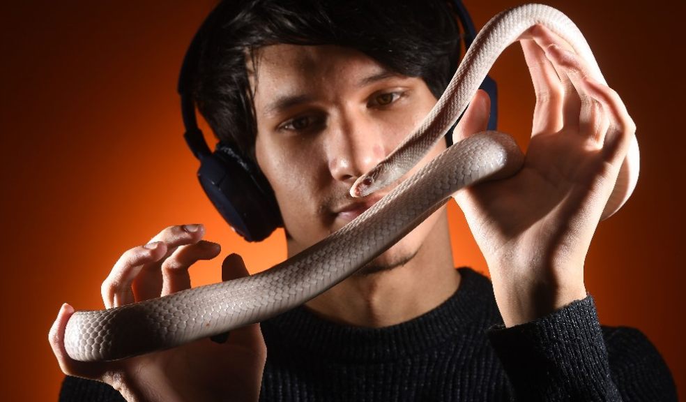 Picture caption: Ned Riley with the corn snake he will be exhibiting at Devon County Show which has been provided by Exeter Exotics. Photo: Russell Sach
