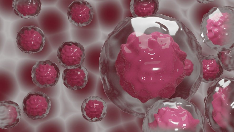 Embryonic Stem Cells
