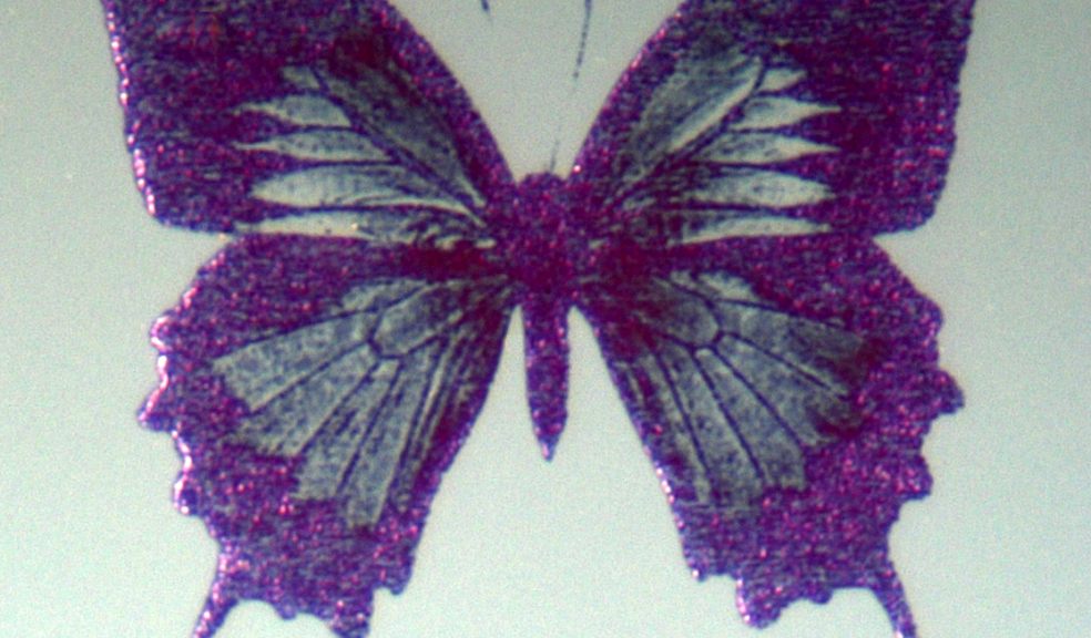 Still images drawn with the technology: at around 70 micrometres (70,000 nanometres) across each image is smaller than the width of a human hair. The researchers have shown that using this technology they can create ‘nano-pixels’ just 100 nanometres in size. Picture: Oxford University