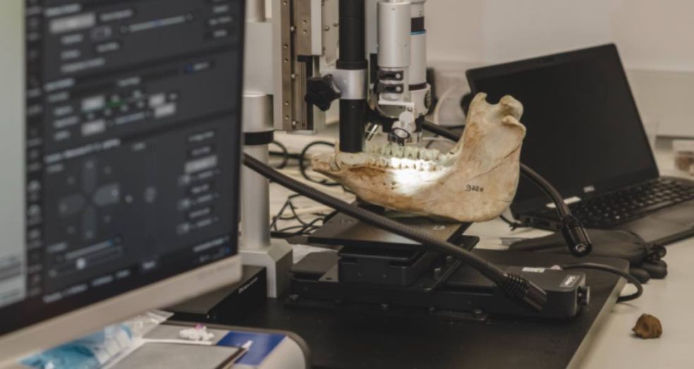 Photo caption: Courtesy of University of Exeter.