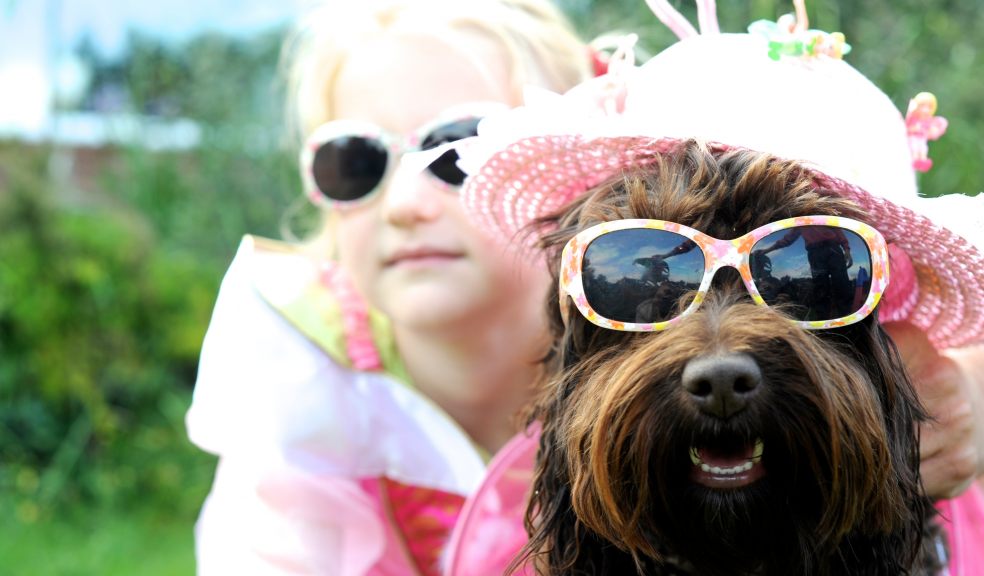 Dress rehearsal for Partridge the dog ahead at Walk for WESC!