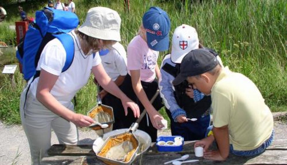 A week of wildlife discovery with Devon Wildlife Trust
