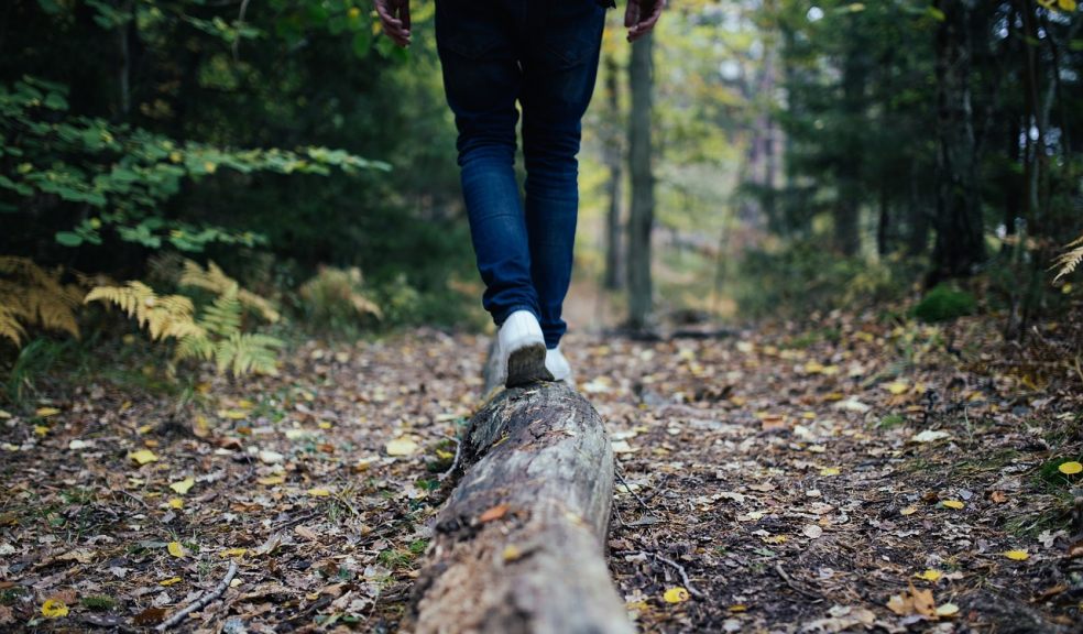 New handbook to help prescribe nature for mental health and wellbeing