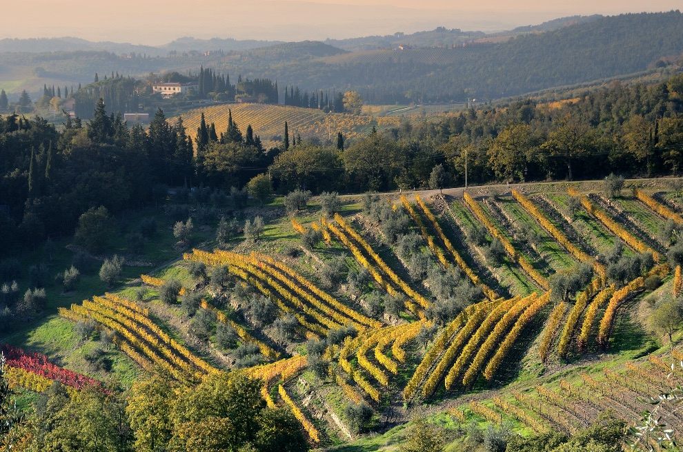 Gagliole terraced vineyards in Chianti Classico