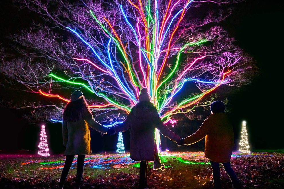 Christmas, Killerton, Lights