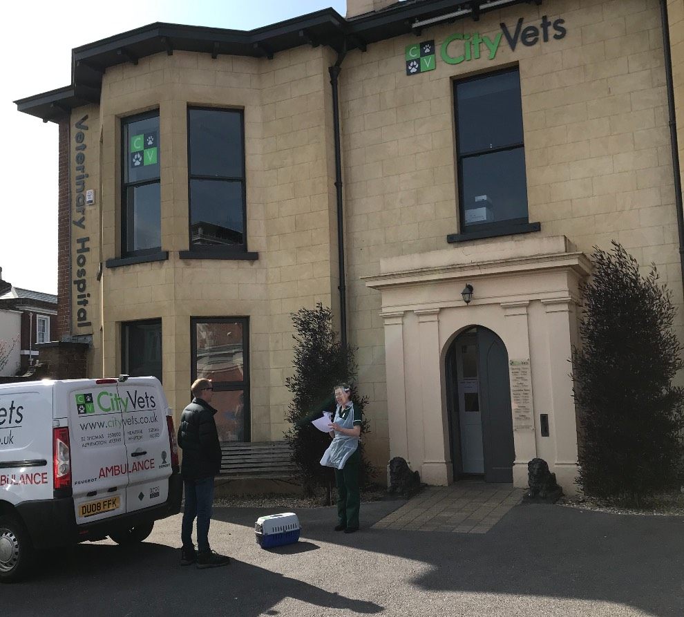 Patients are collected from owner's from outside the Heavitree surgery