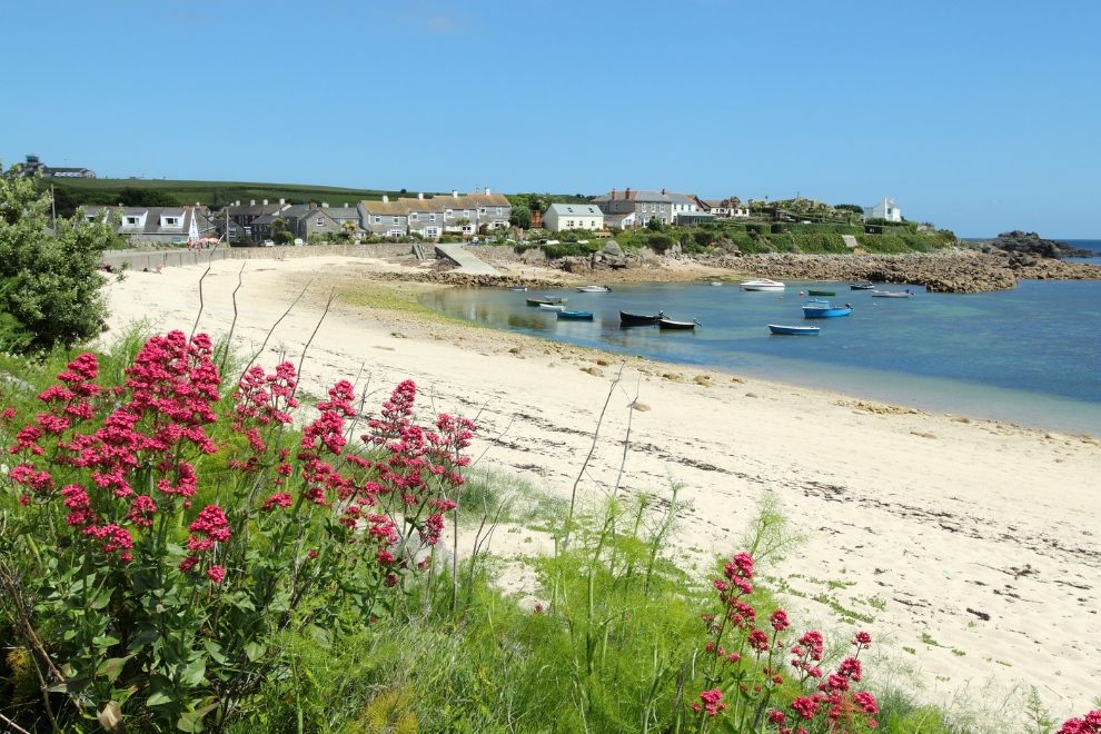 Isles of Scilly Old Town Beach Red Valerian St Marys