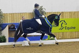 Danielle Balsdon - Lord Lennox