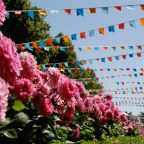 RHS Rosemoor Garden Festival Beautifully arranged flowers form an avenue with colourful bunting above