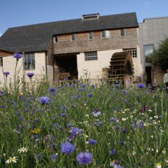 Devon Wildlife Trust