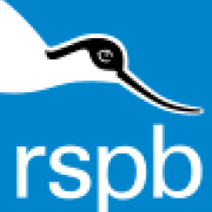 RSPB Southwest