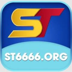 st6666org