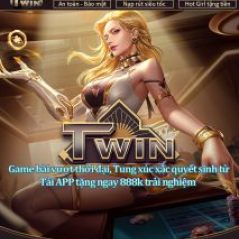 twin68n