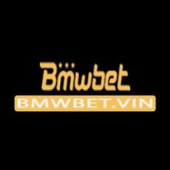 bmwbetvin