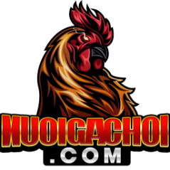 nuoigachoicom