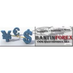 bantinforexnet
