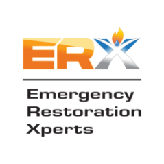 erx247_jax