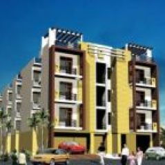 prestigepineforestp