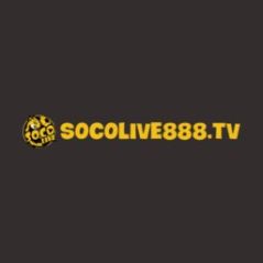 socoliveopalmagic