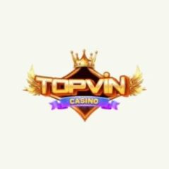 topvinbid